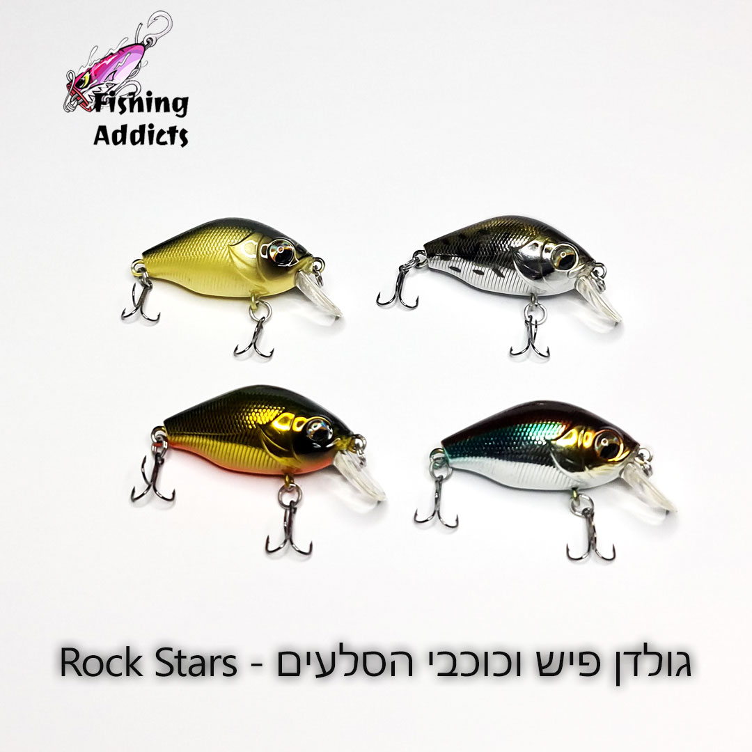 FA-Golden-Fish-and-the-Rock-Stars-