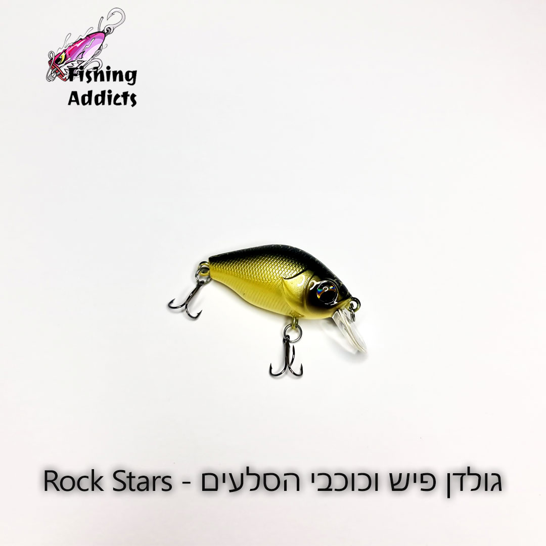 FA-Golden-Fish-and-the-Rock-Stars-1