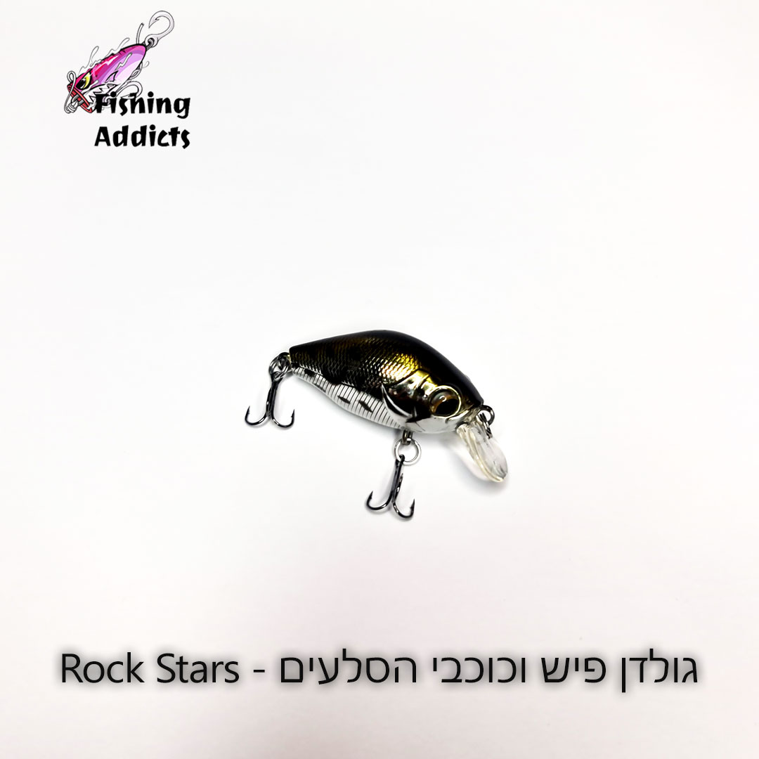 FA-Golden-Fish-and-the-Rock-Stars-2