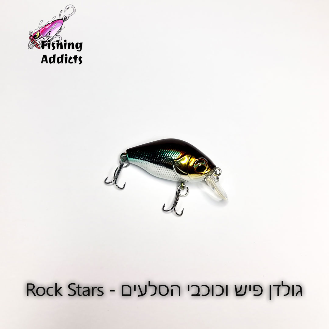 FA-Golden-Fish-and-the-Rock-Stars-3