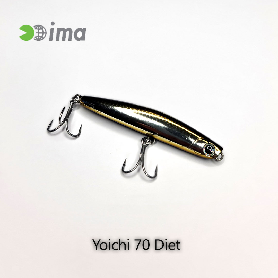 IMA-Yoichi-70-Diet-Silver-broun