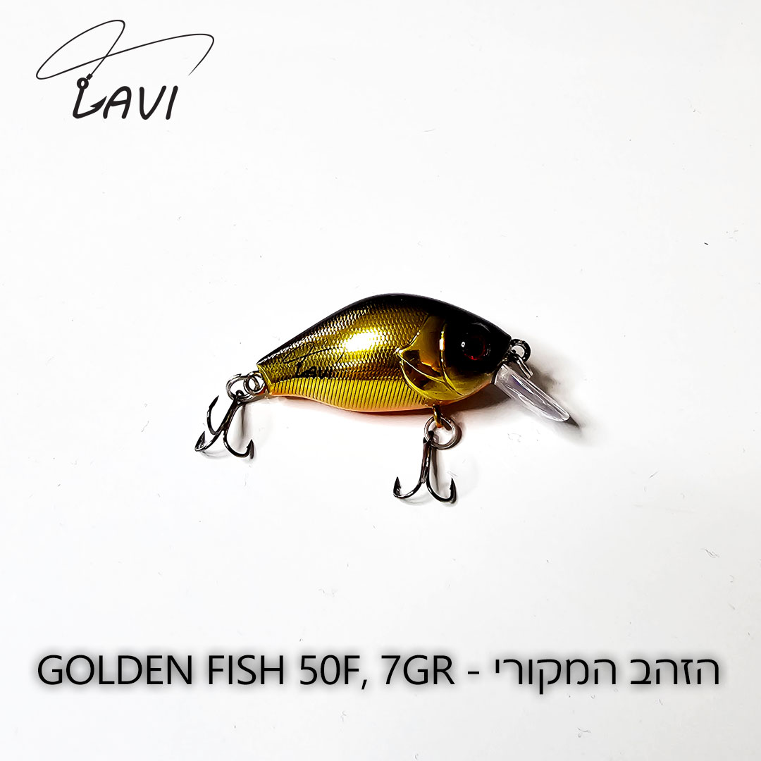 LAVI-GOLDEN-FISH-GOLD