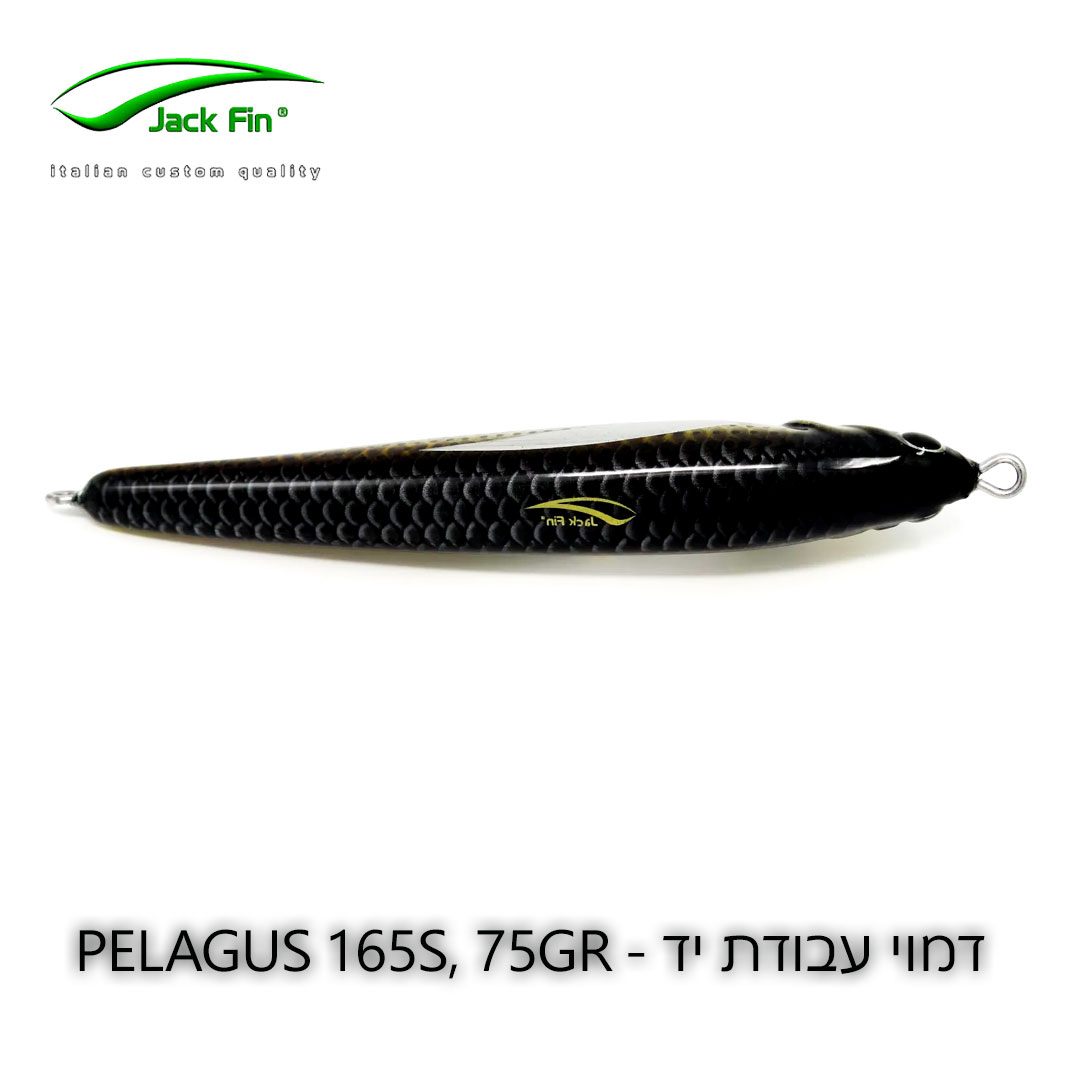 Jackfin-Pelagus-165-S-MULLET-BACK