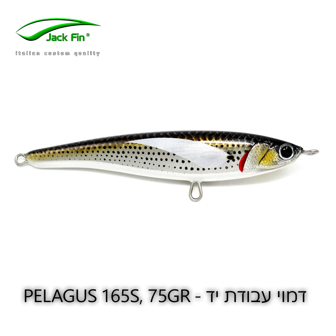 Jackfin-Pelagus-165-S-MULLET-FONT